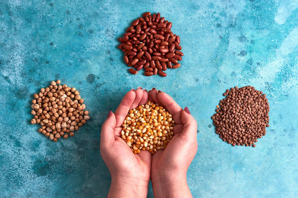 What Are Phytogenic Feed Additives? Science, Benefits & Applications