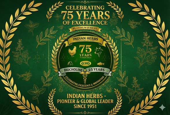 From the Director’s Desk