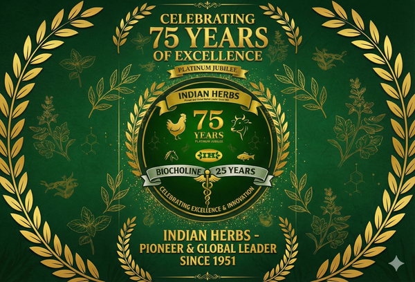 From the Director’s Desk