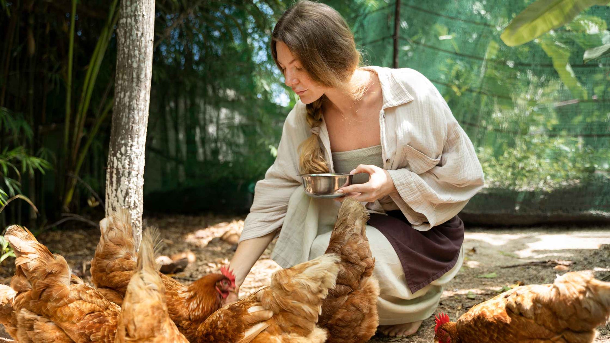 Poultry Farming Basics: A Beginner’s Guide to Raising Healthy Birds