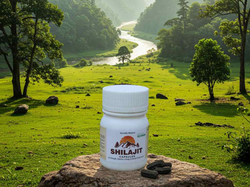 6 Traditional and Modern Uses of Shilajit in Ayurveda and Medicine