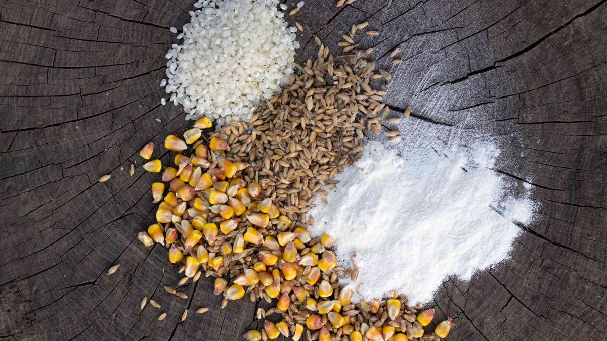 Managing Feed Additives: How to Safely Use Growth Promoters in Poultry Diets