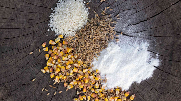 Managing Feed Additives: How to Safely Use Growth Promoters in Poultry Diets