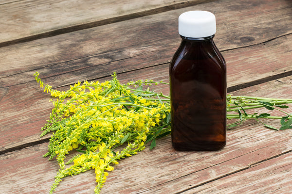 Why Nervine Tonics Matter in Today’s Fast-Paced Life – Spotlight on YOUTHEN