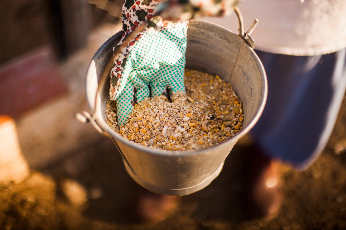Why Animal Feed Supplements Are Essential for Healthy Growth and Productivity