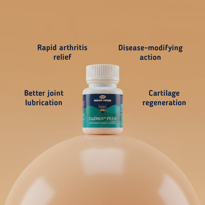 EazMov Plus - alternate view