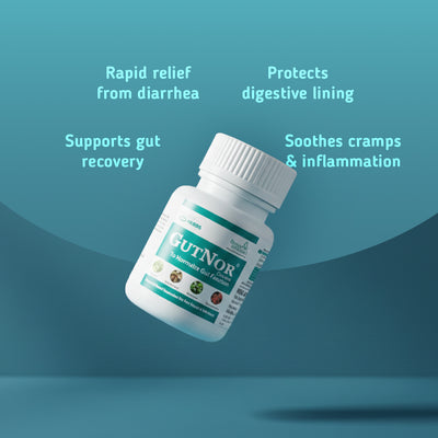 GutNor - alternate view