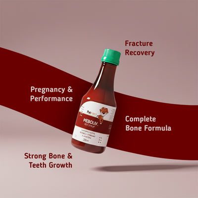 Meboliv Pet Syrup - alternate view