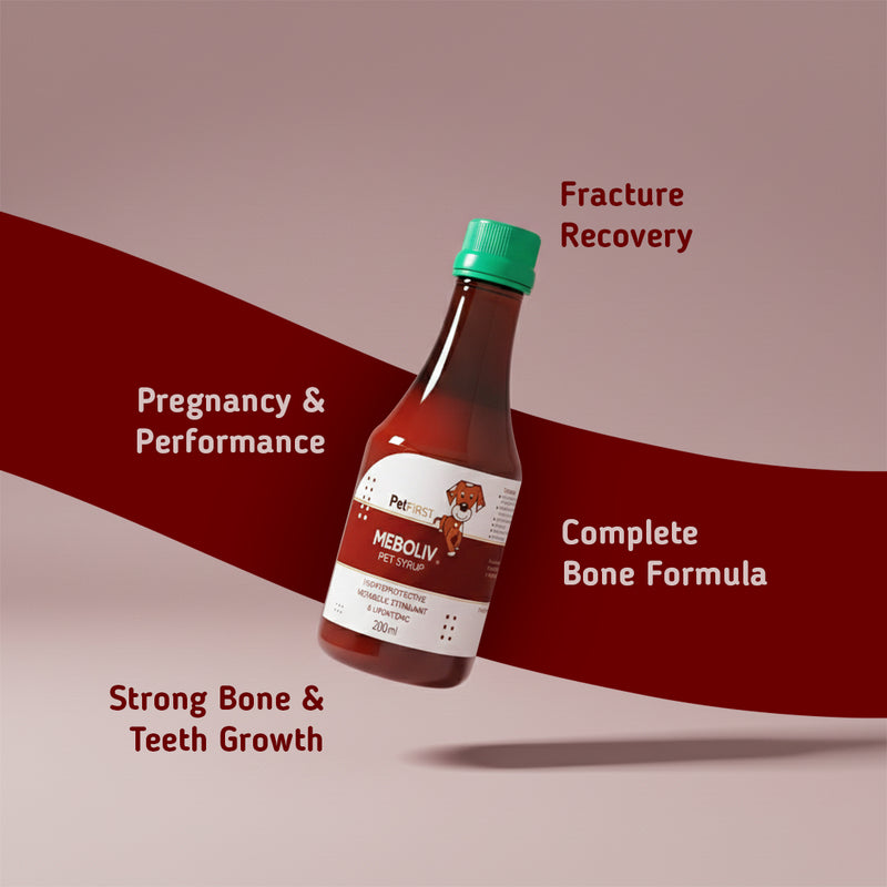 Meboliv Pet Syrup