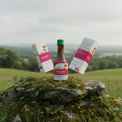 Magacal Pet Syrup