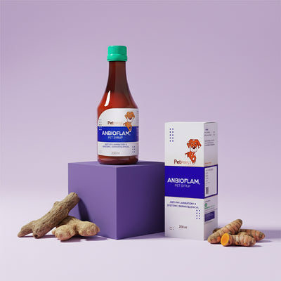 Anbioflam Pet Syrup