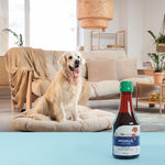Immuplus Pet Syrup