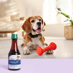 Anbioflam Pet Syrup