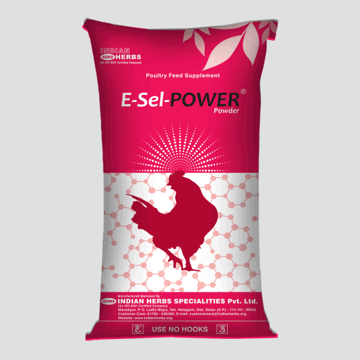 E Sel Power 25 Kg