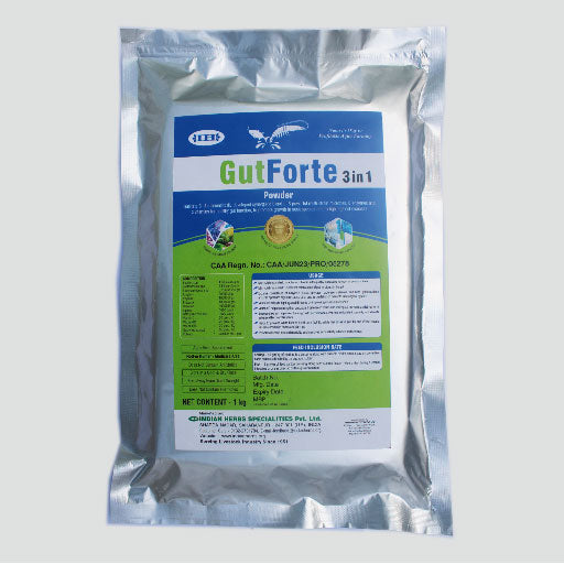 GutForte 3in1