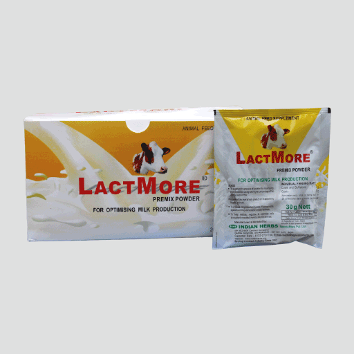 Lactmore Premix Powder