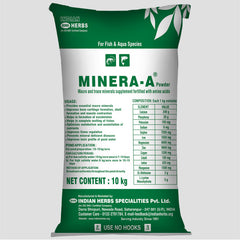 Minera A