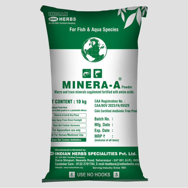 Minera A