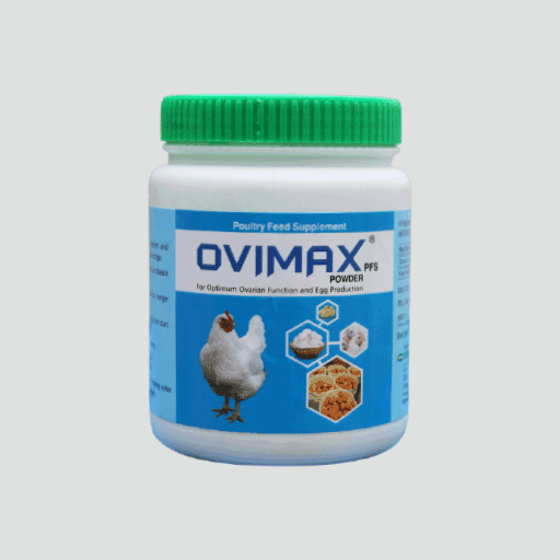 Ovimax Ovimax | Herbal Egg Production Booster & Layer Performance Supplement