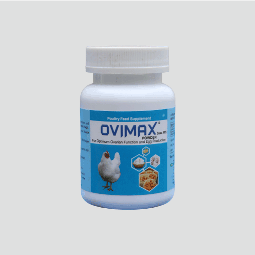 Ovimax Ovimax | Herbal Egg Production Booster & Layer Performance Supplement