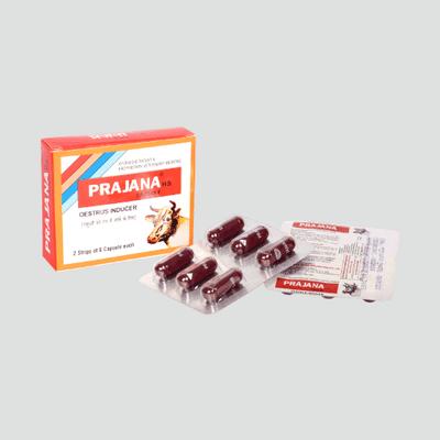 Prajana HS - alternate view