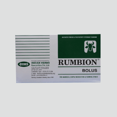 Rumbion Bolus - alternate view